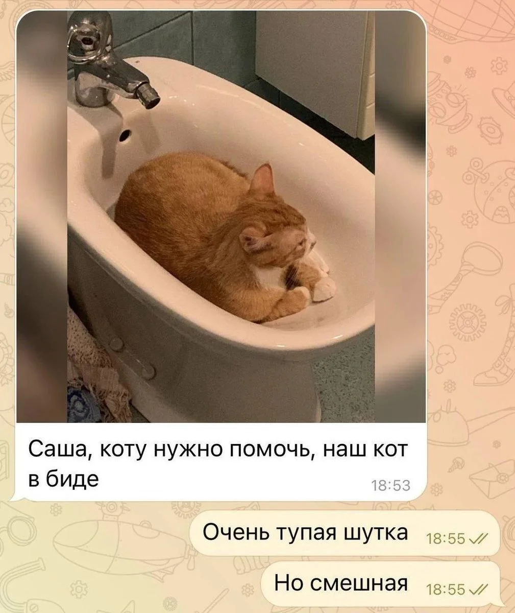 #юморсловца

📚 Красное словцо | Подписаться