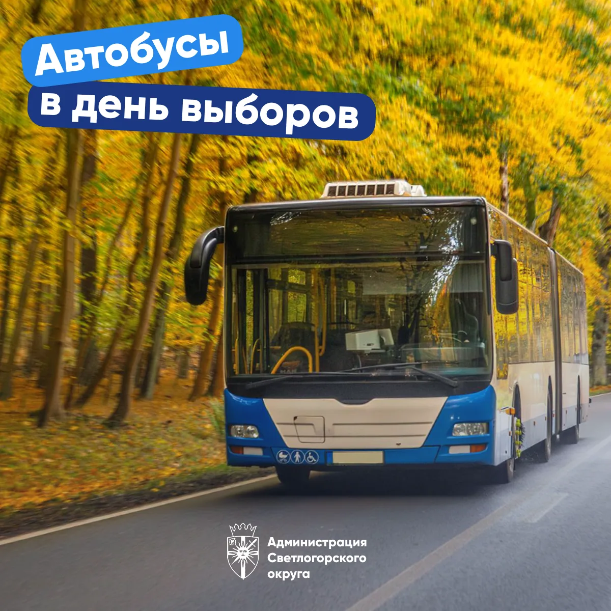 🚍 20 сентября в Светлогорском округе запустим дополнительные автобусные рейсы к избира...
