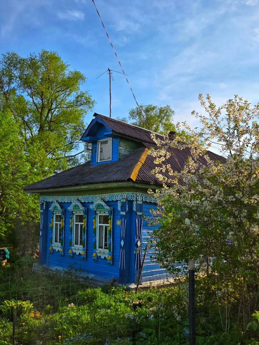 Яркие деревенские зарисовки июня