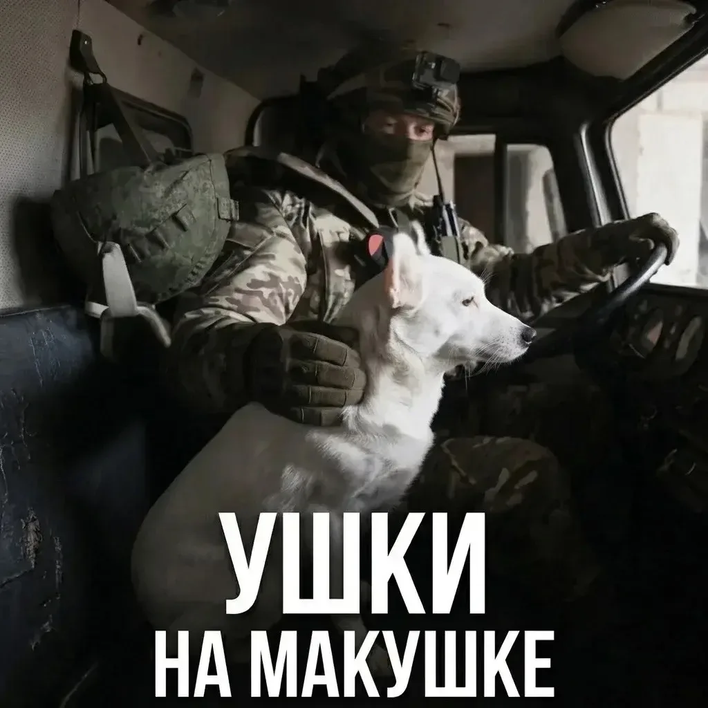 Если с другом вышел в путь, веселей дорога!