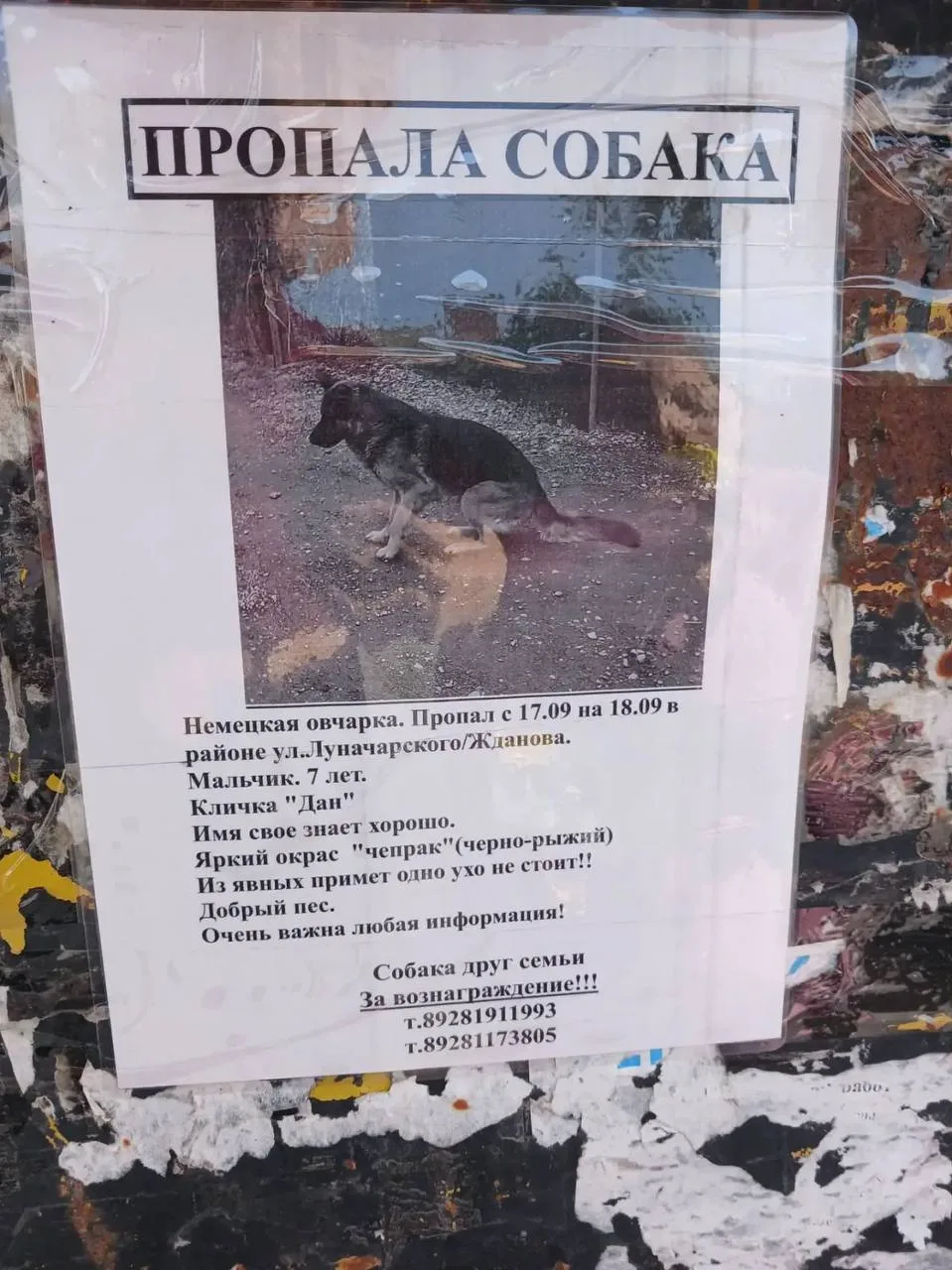 💬Мой Аксай в ТГ