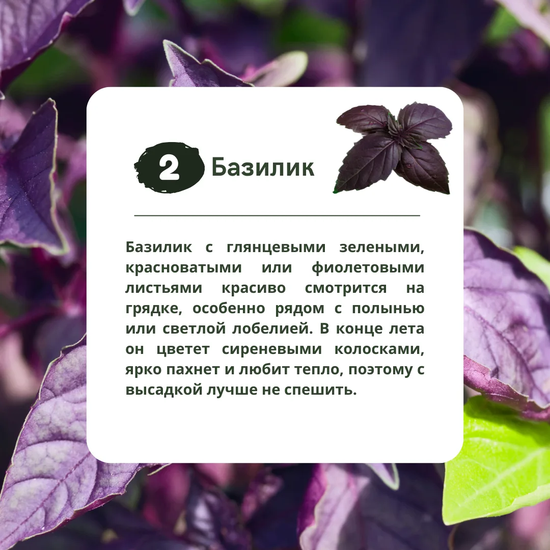 Изображение 3 к публикации «Идеи Вашего Дома»