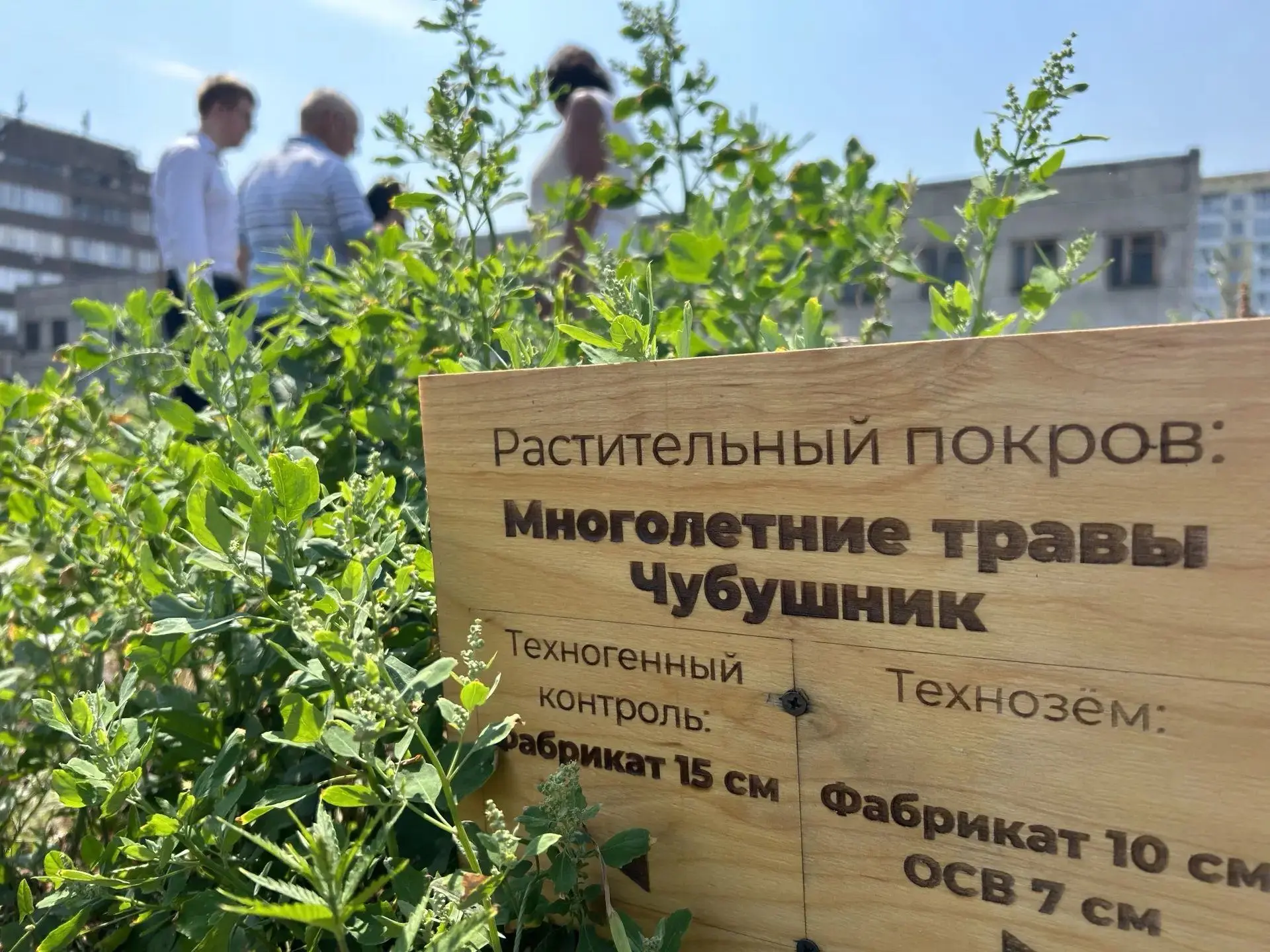 🏭ЕВРАЗ ЗСМК помог реализовать очередной этап масштабного экологического проекта