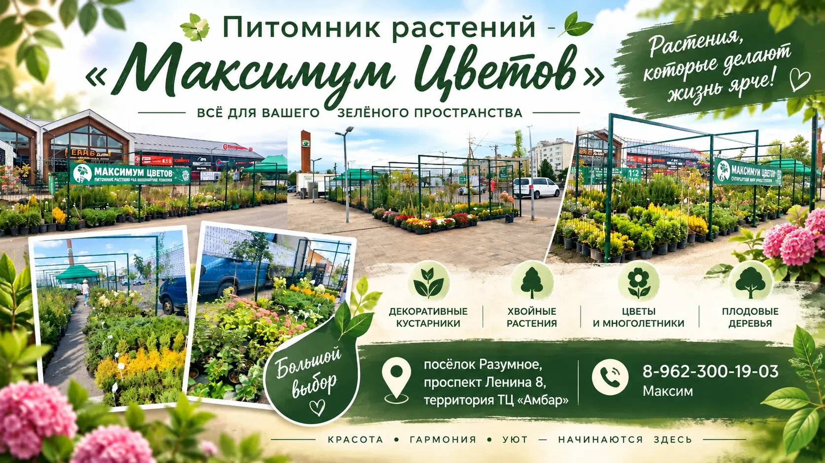 🌿🌿🌿 Дорогие друзья, приглашаем на розничную точку питомника растений «Максимум Цветов»!