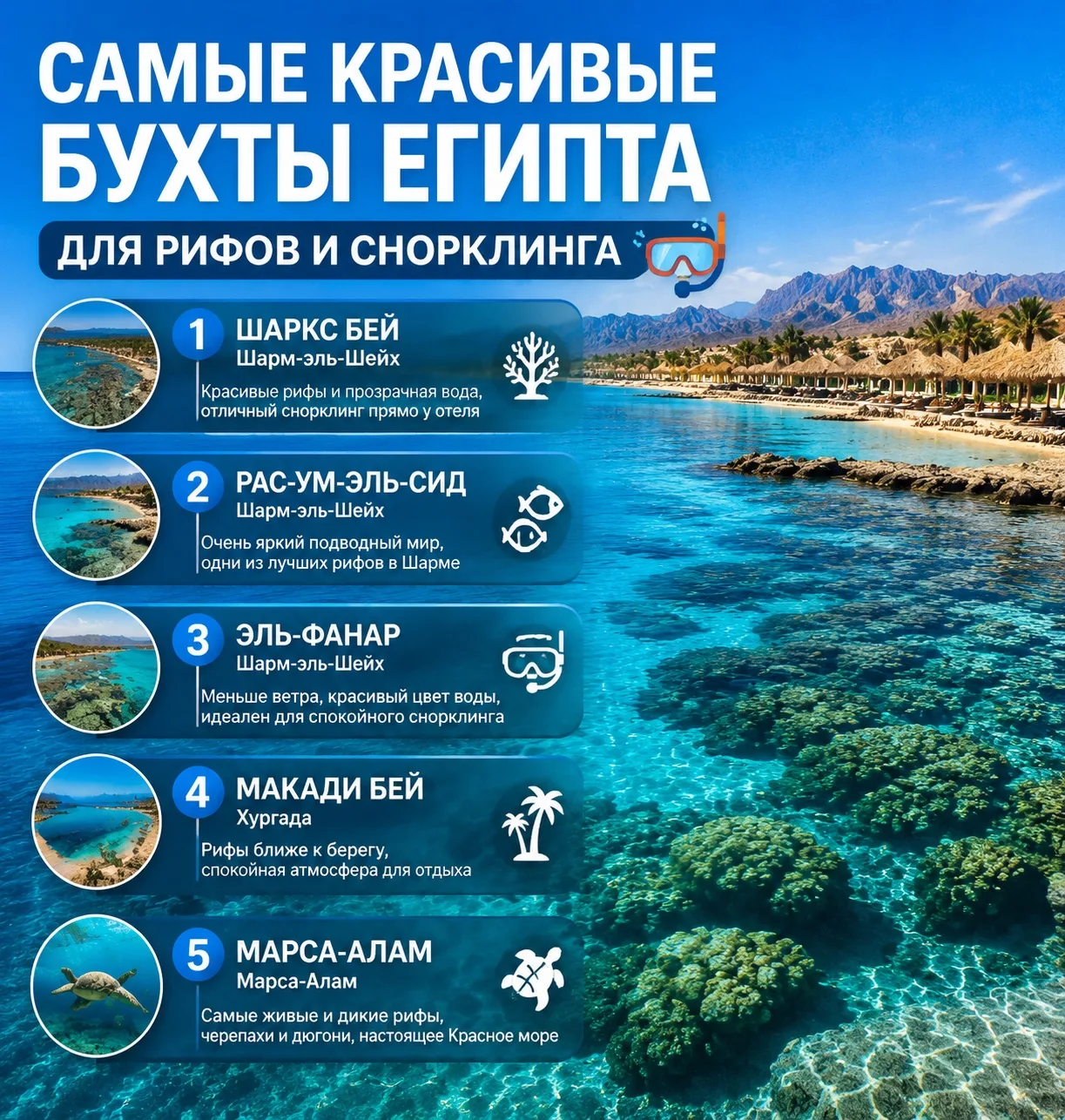 Самые красивые бухты Египта для снорклинга 🐠
