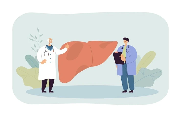 Меню для здоровой печени: Как питание и вес спасают наш главный "фильтр"

В рамках Недели профилакти