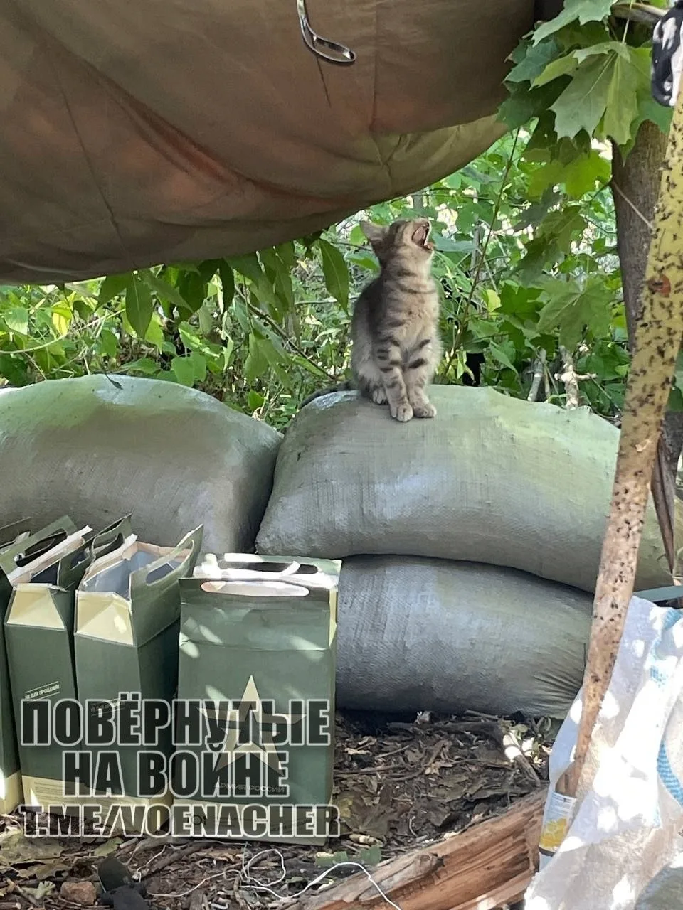 Доброе утро