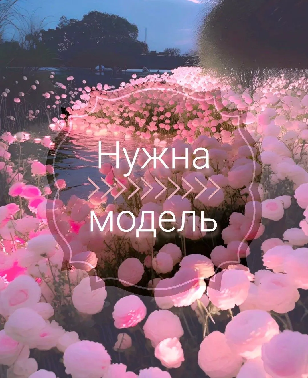 Ищу модель на брови.🤍