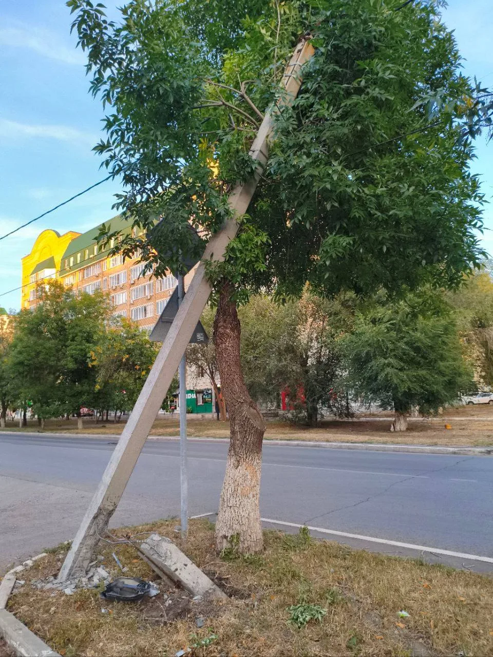 На улице Родимцева, у остановки «Братство», рухнула опора электросети.