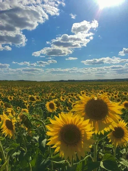 ☀️Когда за окном уже чувствуется дыхание осени, а воздух становится прохладнее с каждым...