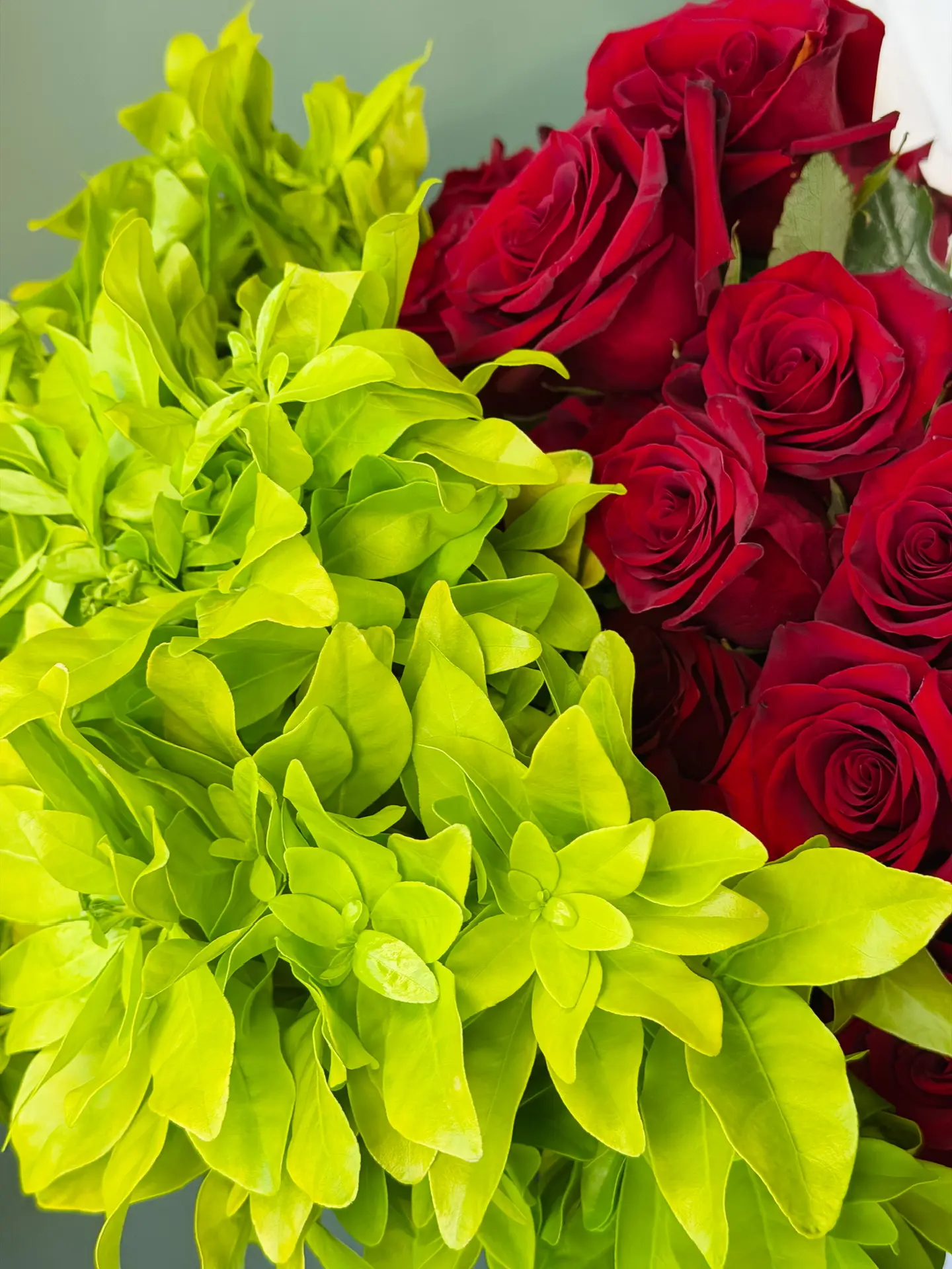 Свежая поставка в нашей цветочной мастерской🌺