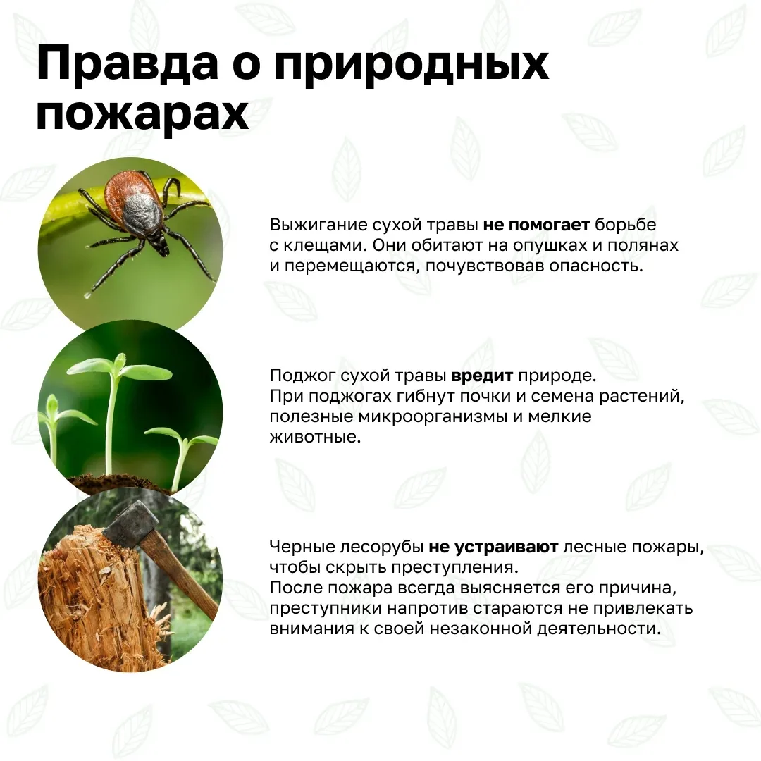 Предложить новость