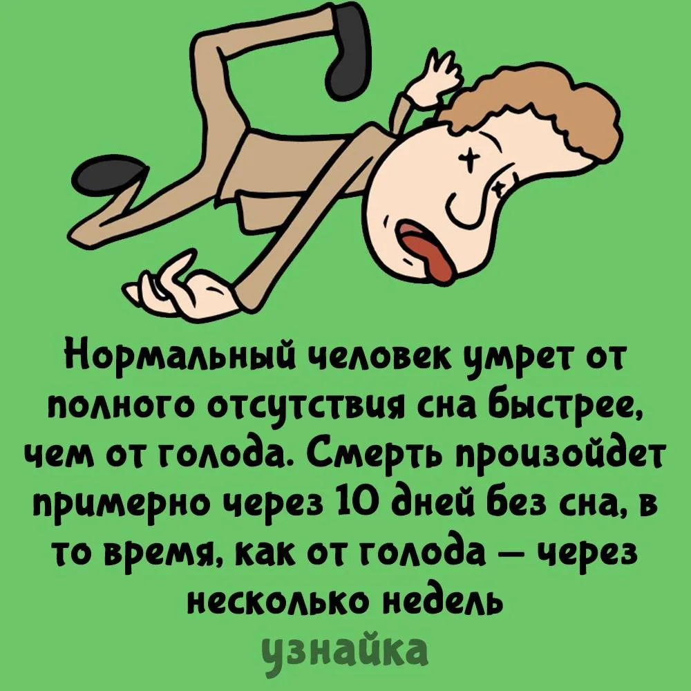 Звучит как вызов🧐
Узнайка
