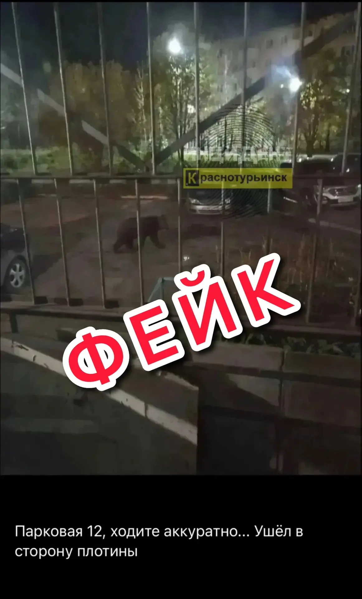 🐻 Вчера вечером был замечен медведь на ул. Парковая.