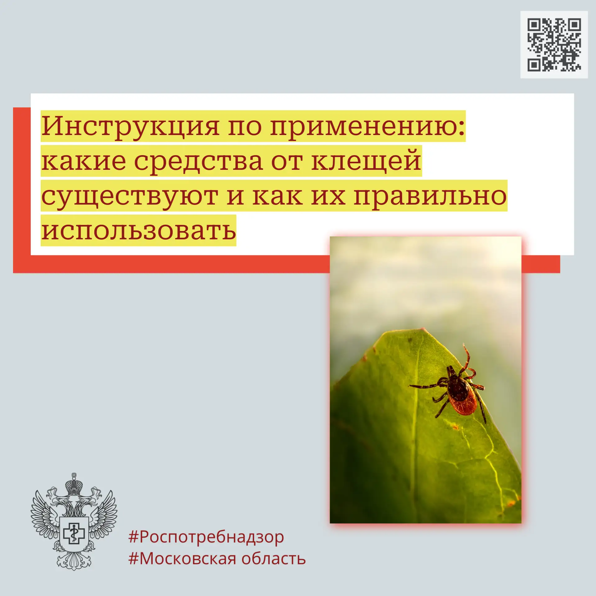 Инструкция по применению: какие средства от клещей существуют и как их правильно исполь...