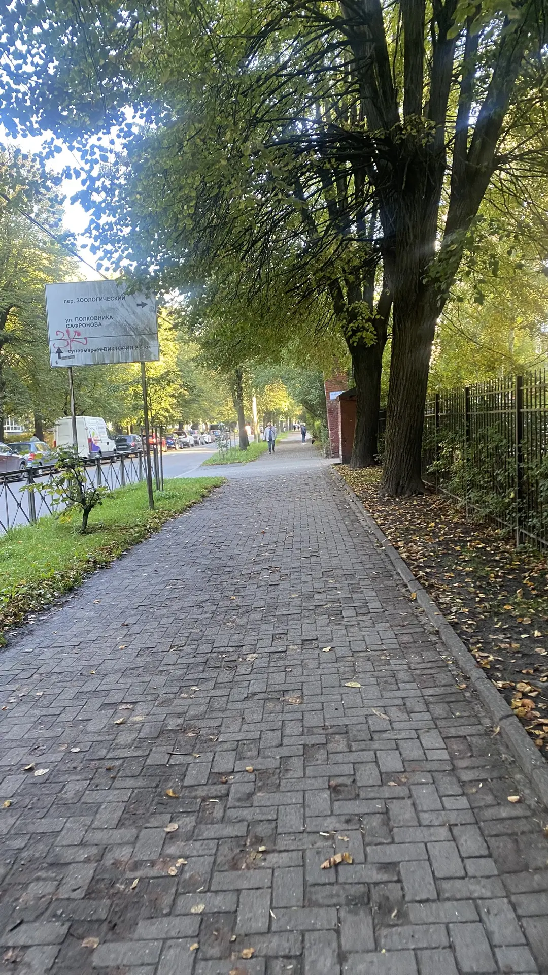 Доброе утро мир ✌️ 🌍