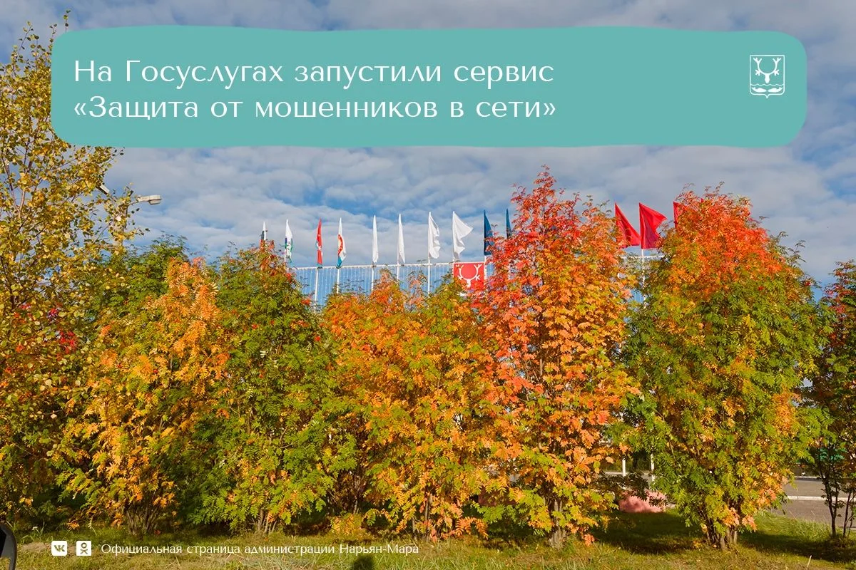 На Едином портале государственных и муниципальных услуг запустили сервис «Защита от мош...