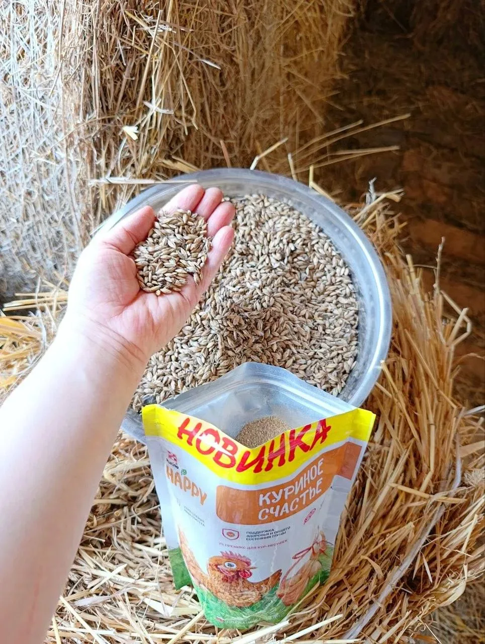 В курятнике порядок навела и курочек своих покормила 🤗  Обязательно добавляю в привычный для них кор