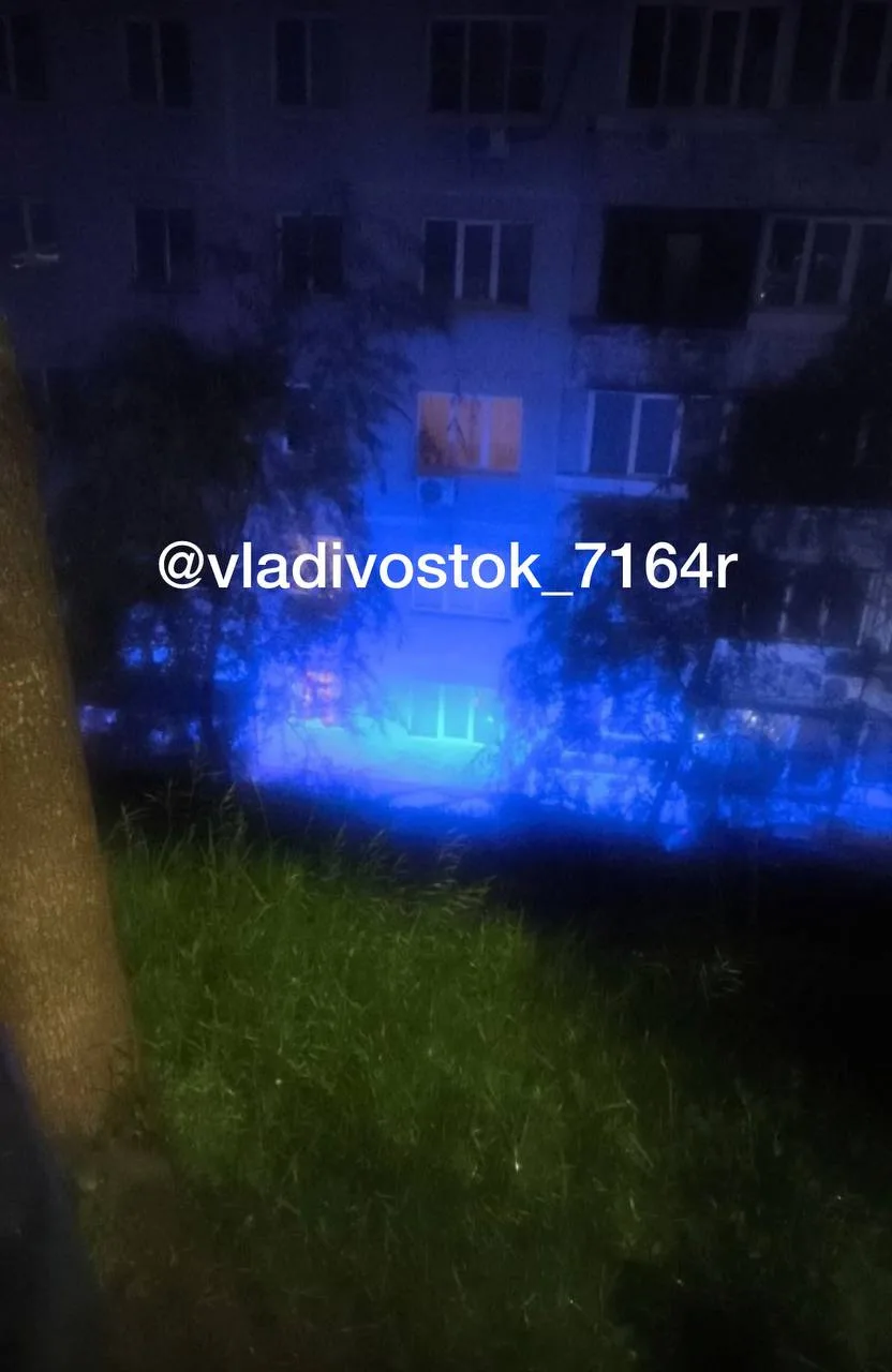Трагедия на Нейбута 24

Выпал подросток из окна 8 этажа.

Спасти не удалось

Вступить в канал 71/64 