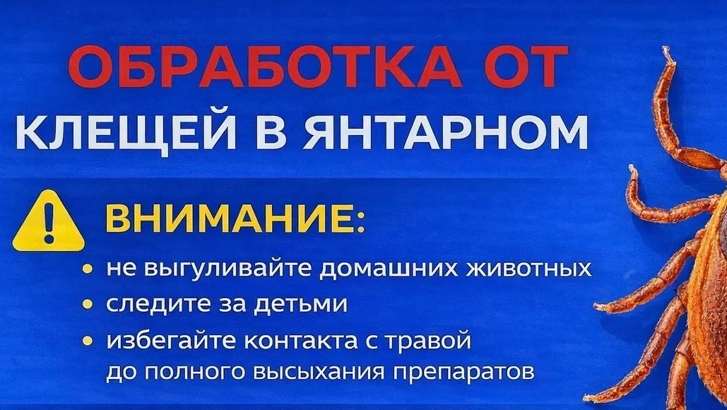 Уважаемые жители пгт. Янтарный!

Сообщаем, что завтра в течение дня по следующим адресам будет прово