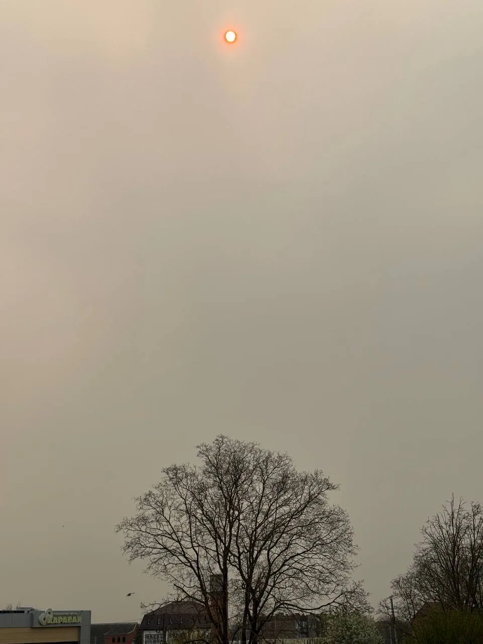 Интересное солнце сегодня , сквозь едкий дым и облака ⛅️