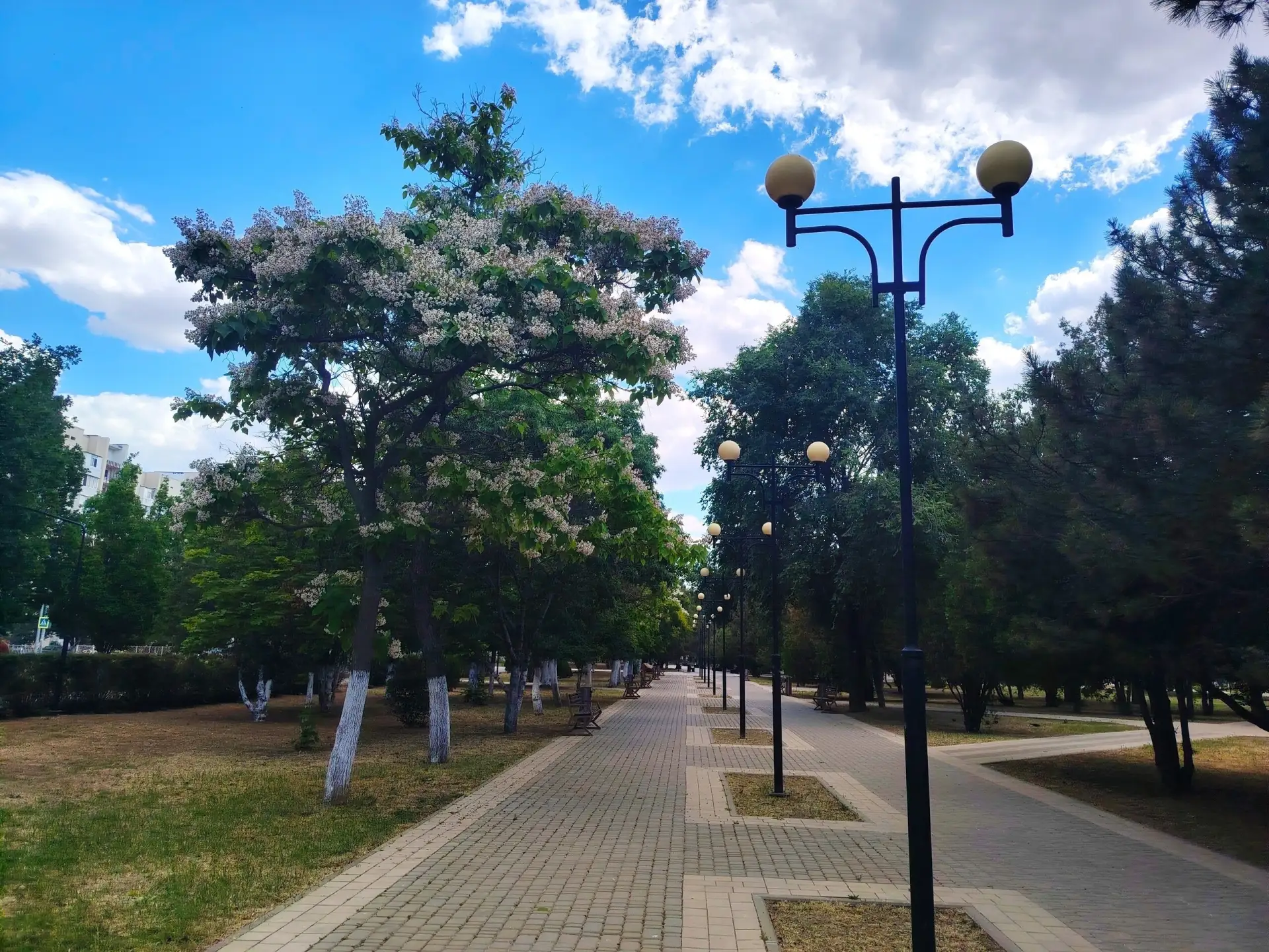 🌅 Доброе утро, Армянск!

🌳  Желаем доброго пробуждения, отличного настроения, тёплого солнышка и п