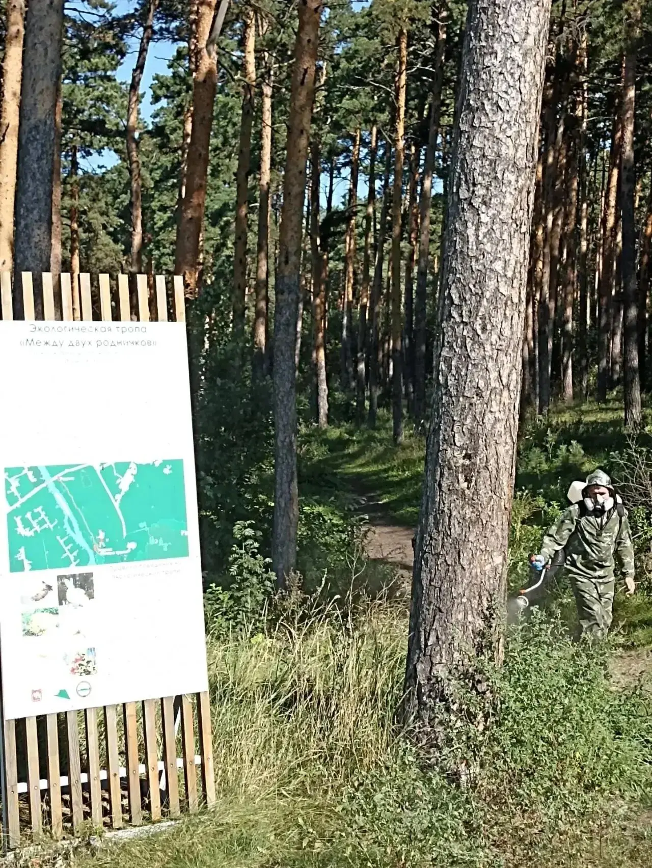На одиннадцати экотропах региона продолжается второй этап противоклещевой обработки
