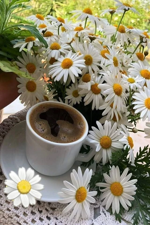 Доброе утро, девочки☀️☀️☀️