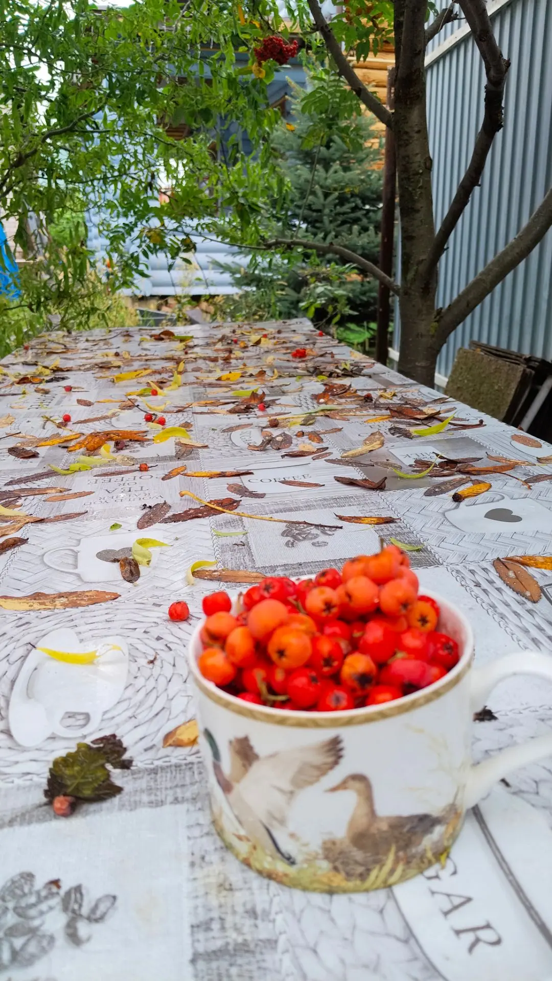 В синеве туманных гор,