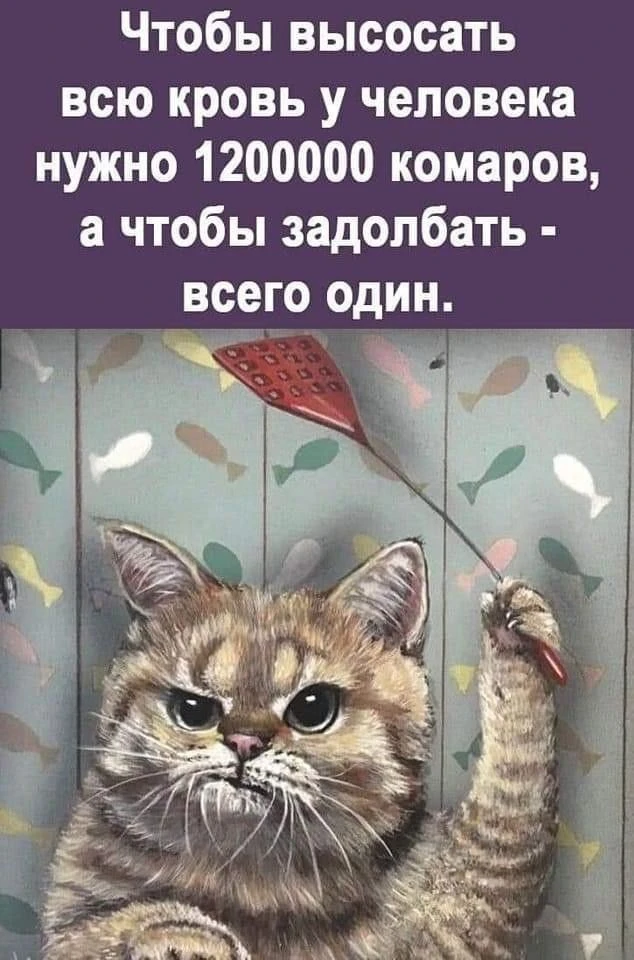 Женский юмор - Подписаться
