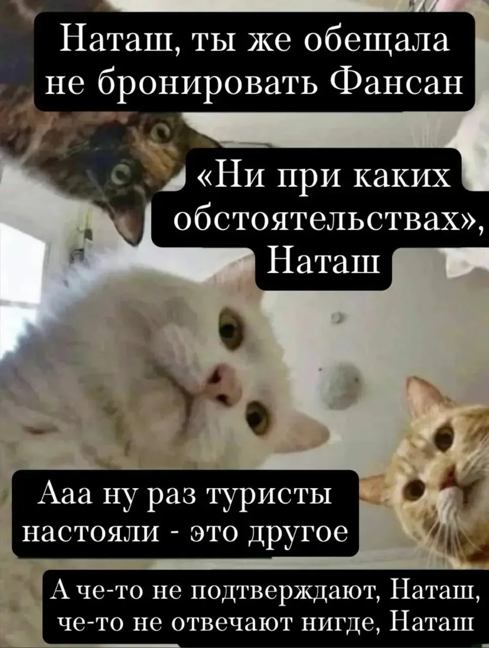 Друзья, мы временно приостанавливаем бронирование у туроператора Fun Sun. Личные кабине...