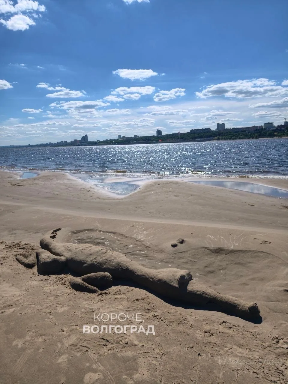 Фото дня: волжский крокодил нежится на берегу Волги