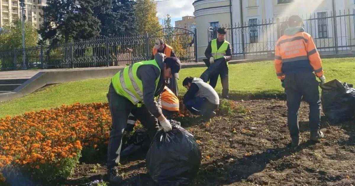 ❗️ Цветники Наро‑Фоминска готовят к зиме 🌿