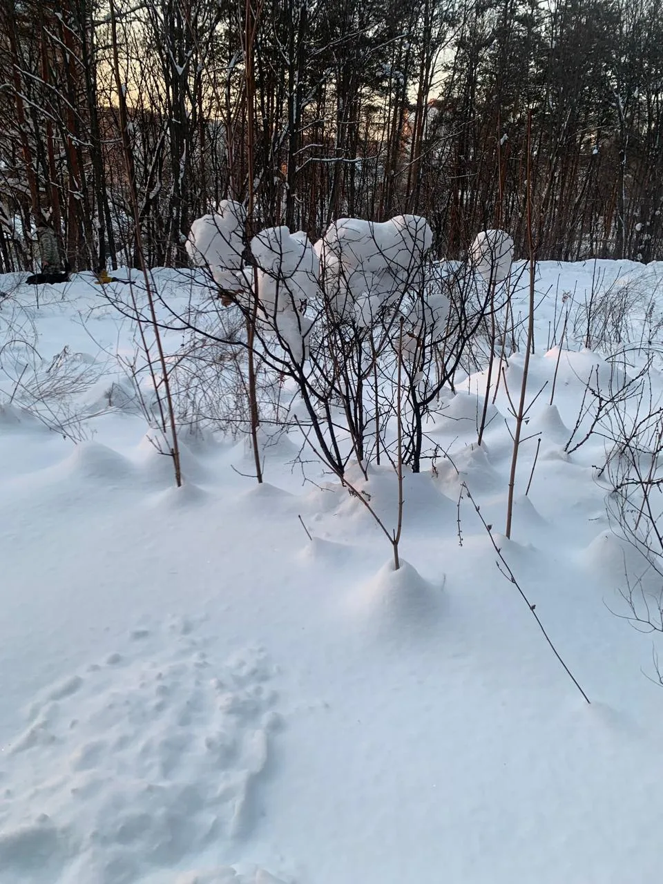 ❄️❄️Башҡортостанға көслө ҡарлы циклон яҡынлай - 11 ғинуарға шундай прогноз бирә Башгидр...
