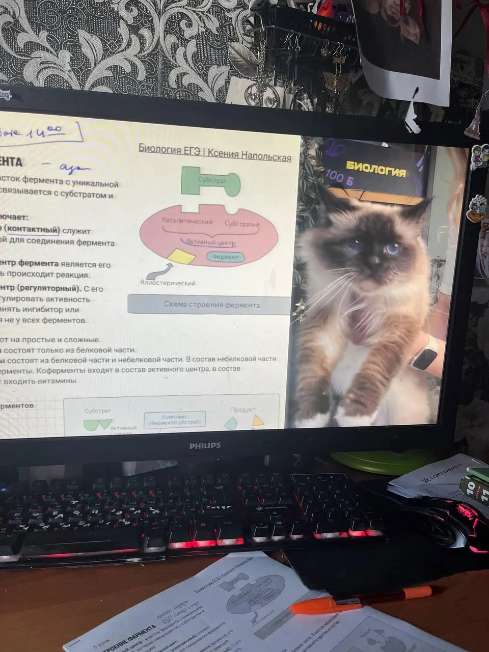 ДО СТАРТА БИОФАКА 7 ДНЕЙ 🔥