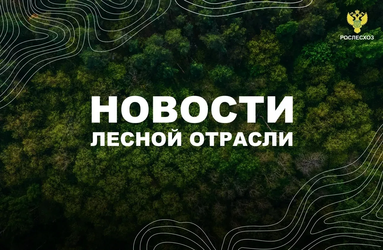 🟢 ТАСС: Количество высаженных деревьев «Сада Памяти» достигло 27 млн в День России

🟢 ТАСС: В Авиа