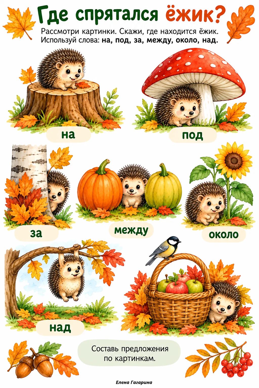 🦔ГДЕ СПРЯТАЛСЯ ЁЖИК?