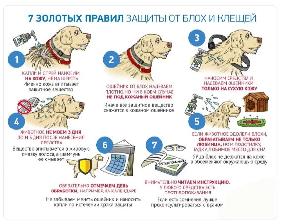 Проблема блох и клещей одна из самых актуальных с приходом летнего тепла!