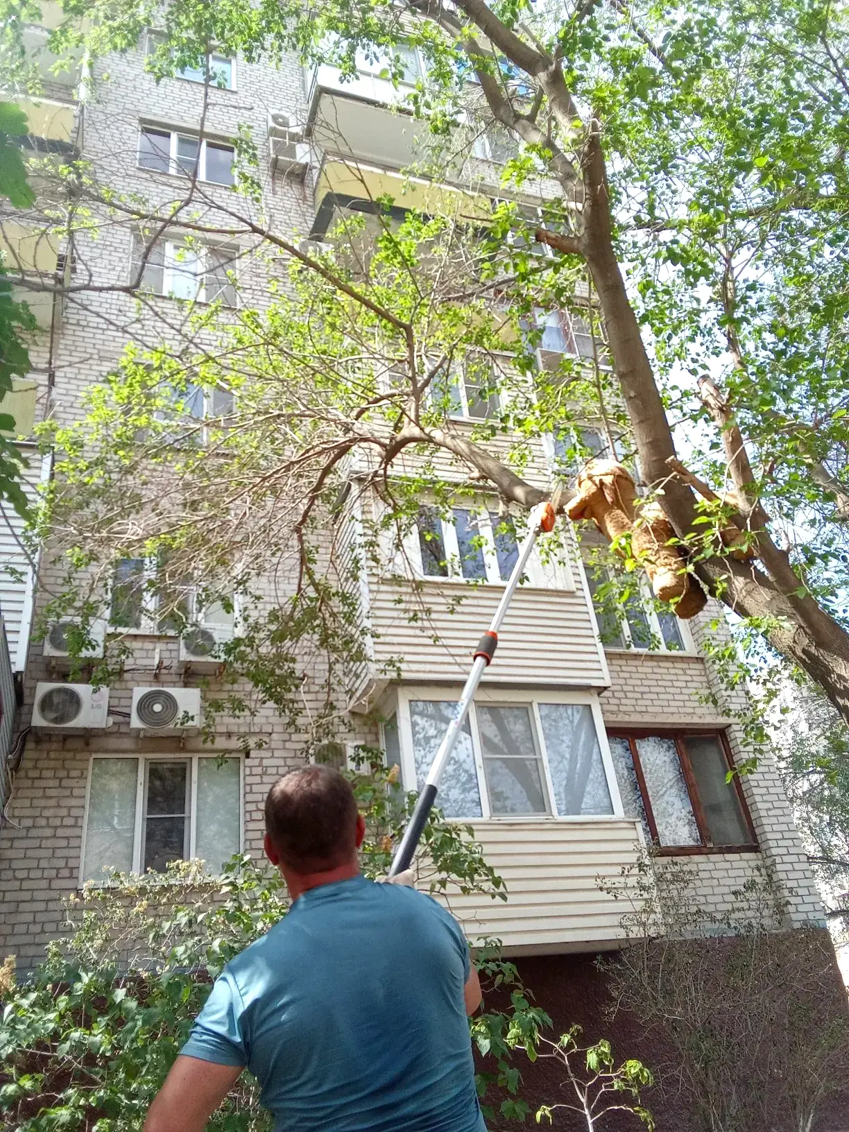 К новости «☀️ Больше пространства и солнечного света!»