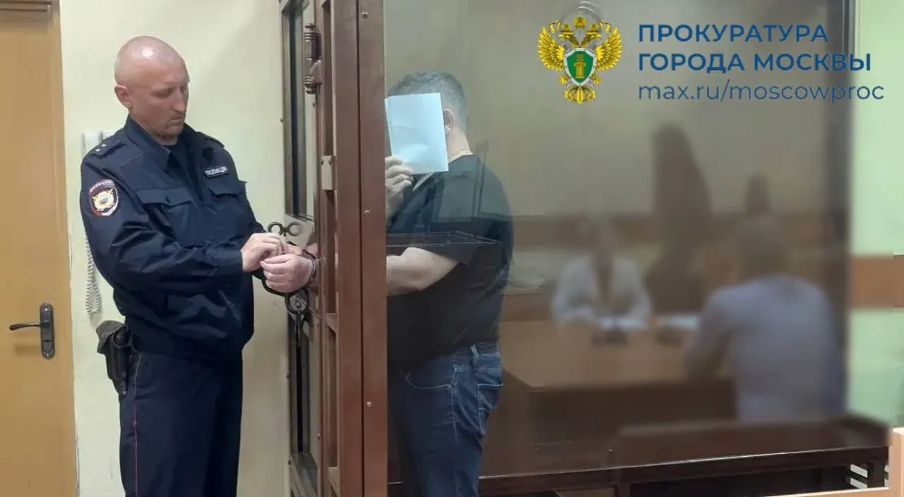 С учетом позиции Останкинской межрайонной прокуратуры заключен под стражу мужчина, обвиняемый в моше