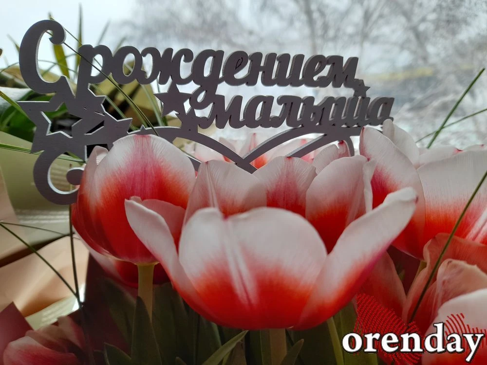 В Оренбуржье в августе родилось 762 малыша