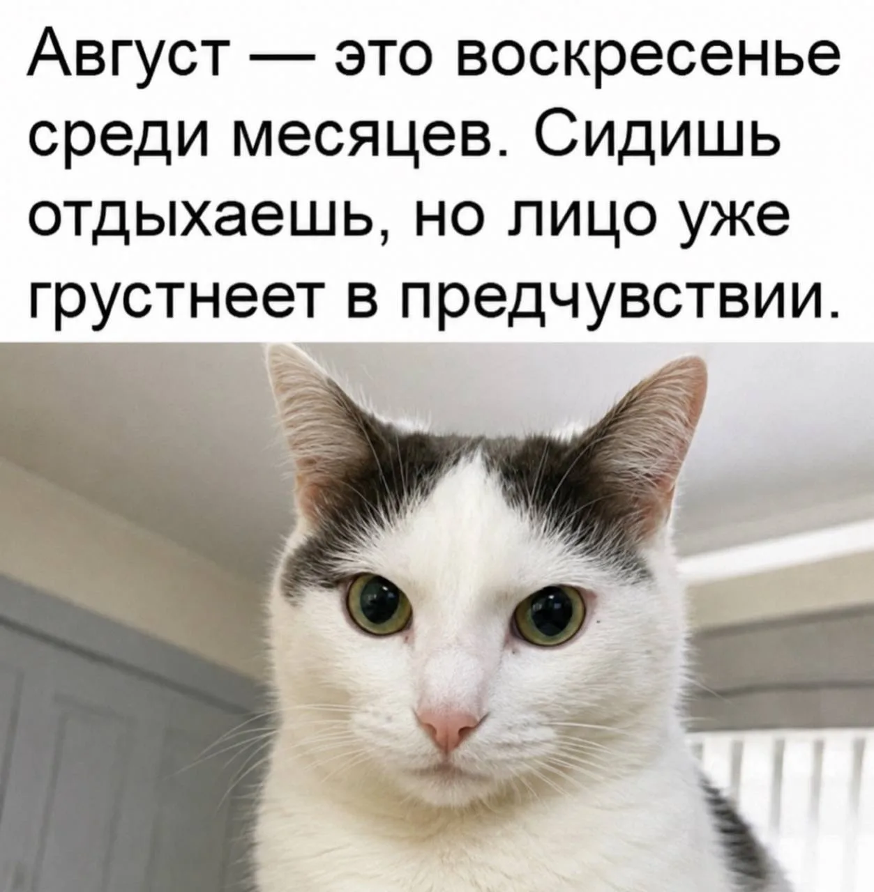 Не грустите, вкусняшку себе купите!