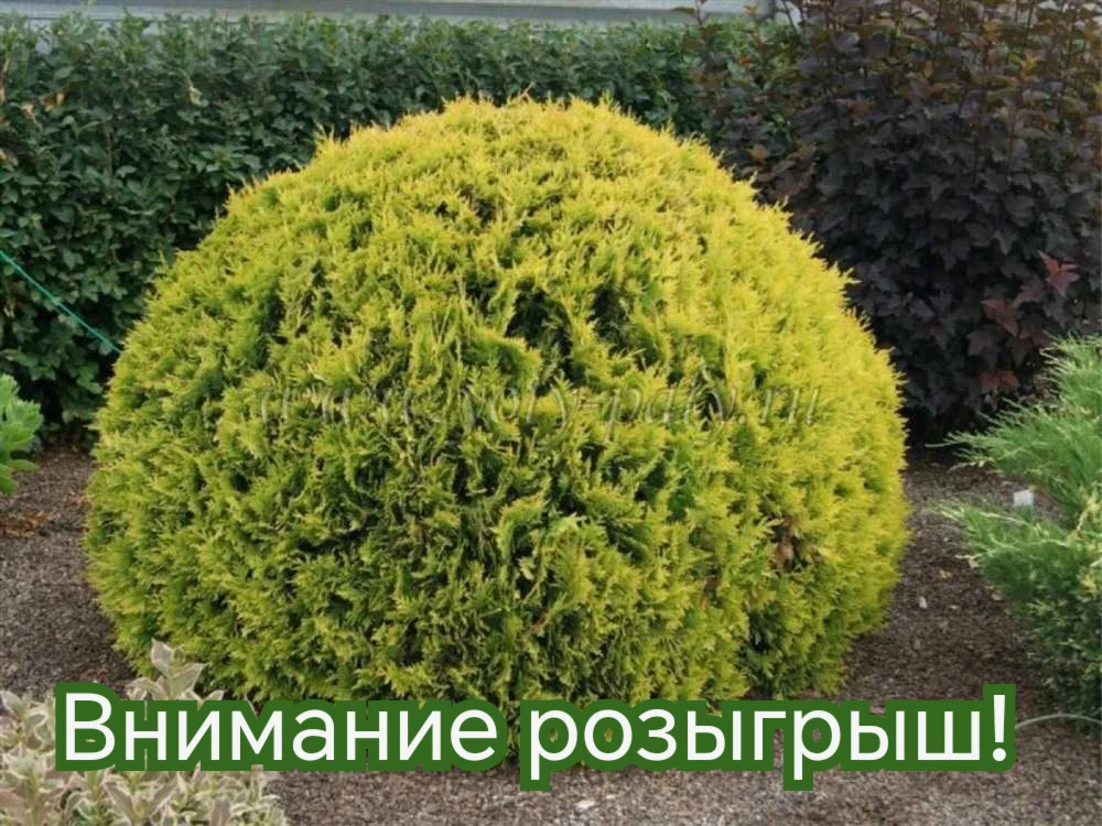 Уважаемые садоводы!
