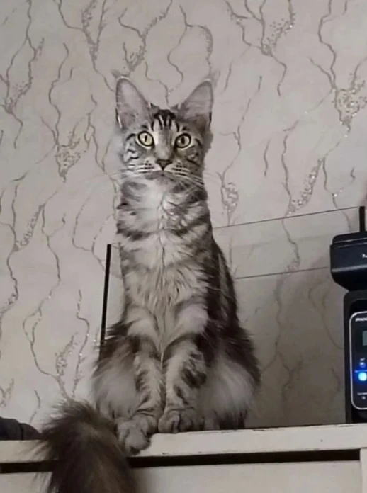 Как встречала нас Анфиса.... 🤣