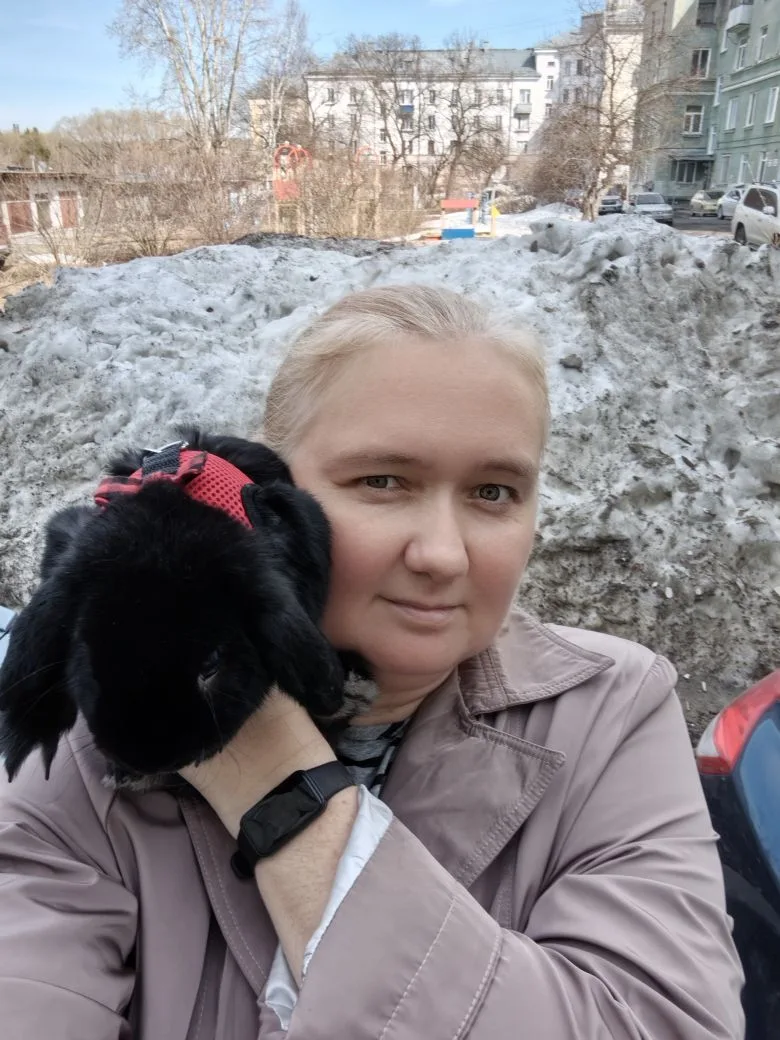 Кролик привит и готов к прогулкам в 2026 году.