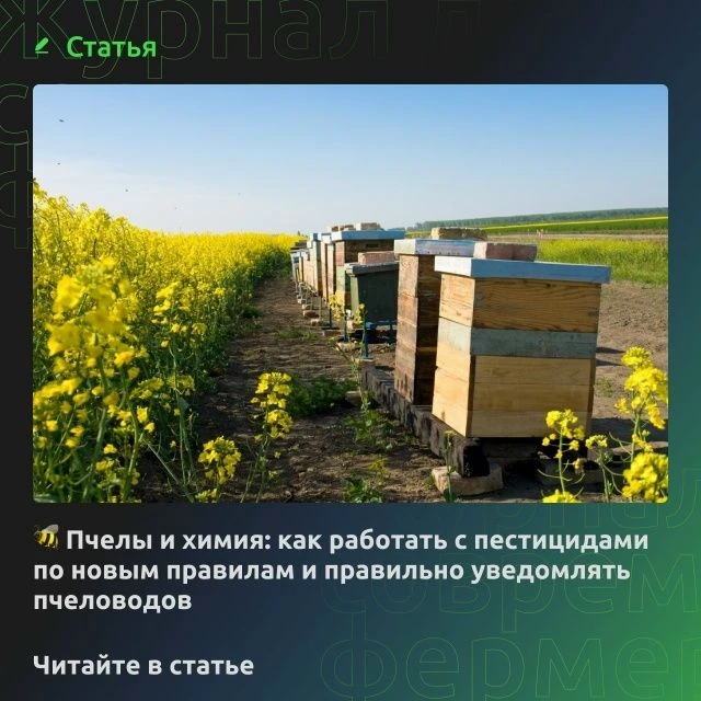 🐝Пчелы и химия: как работать с пестицидами по новым правилам и правильно уведомлять пч...