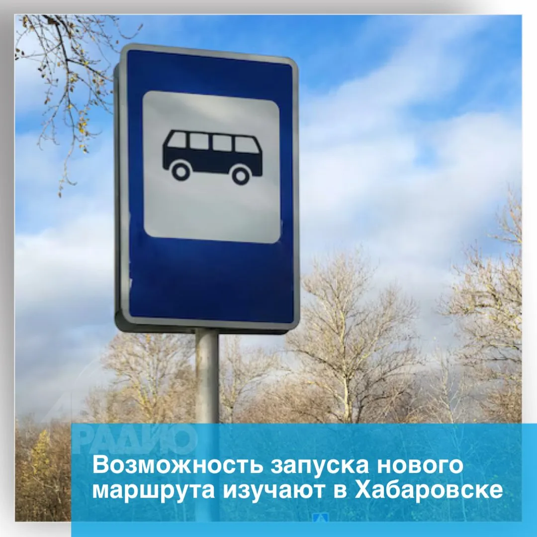 Новый автобусный маршрут хотят запустить в Хабаровске. Транспорт будет ходить до поселк...