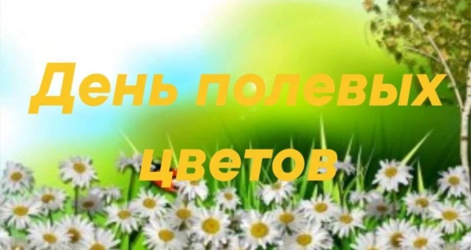 В рамках тематического дня «День полевых цветов» дети группы «Радуга»   закрепили знани...