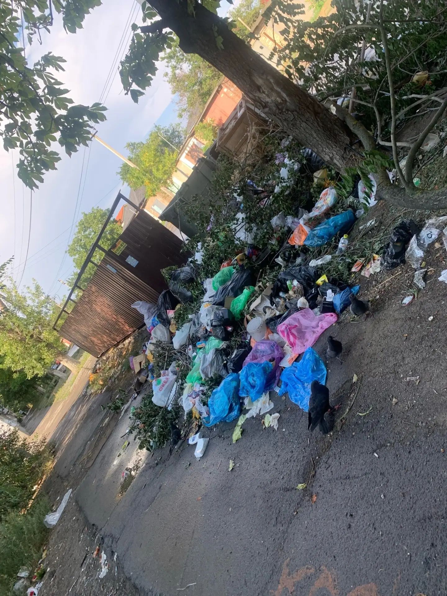 Свалка у контейнерной площадки на Спортивной, 29