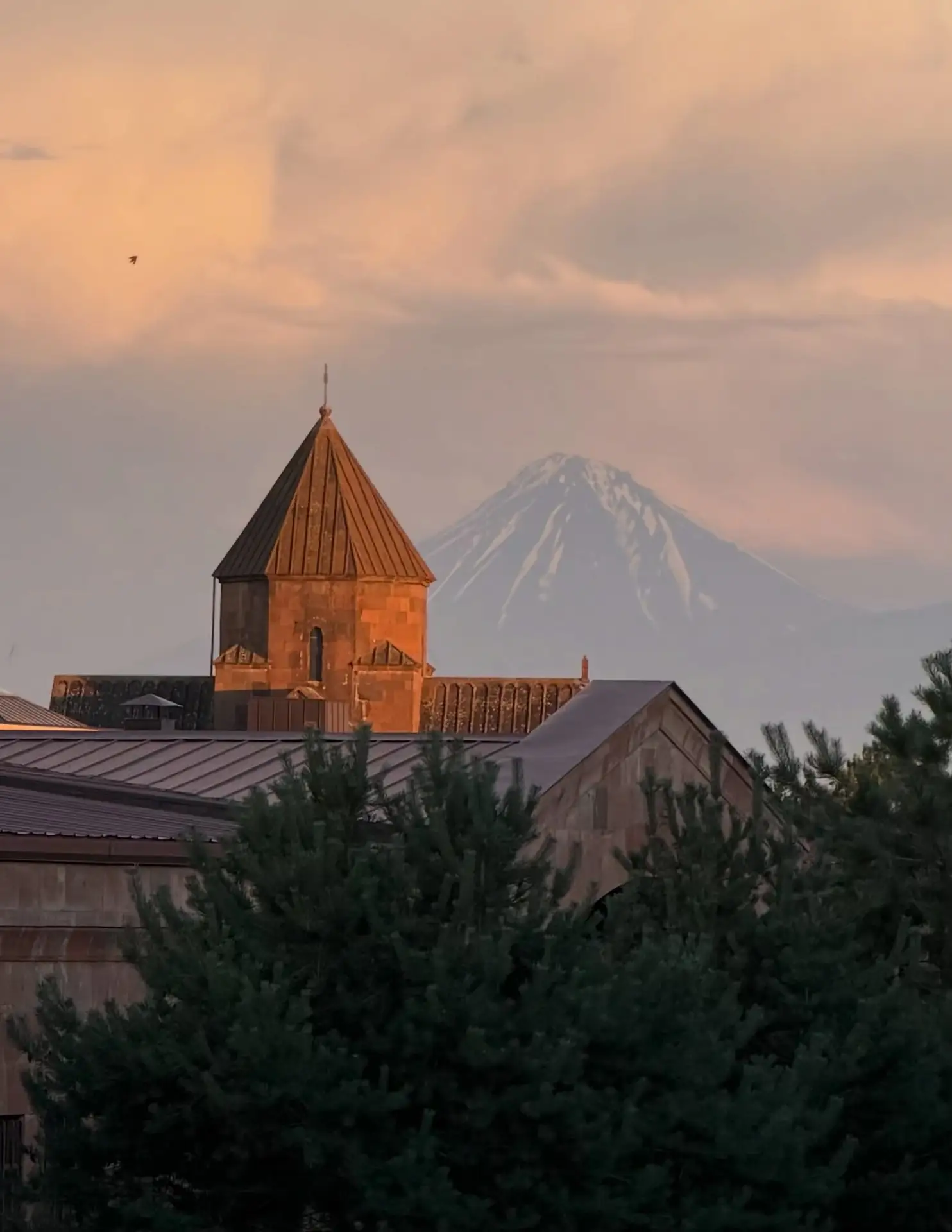 ❤️🇦🇲🕊️